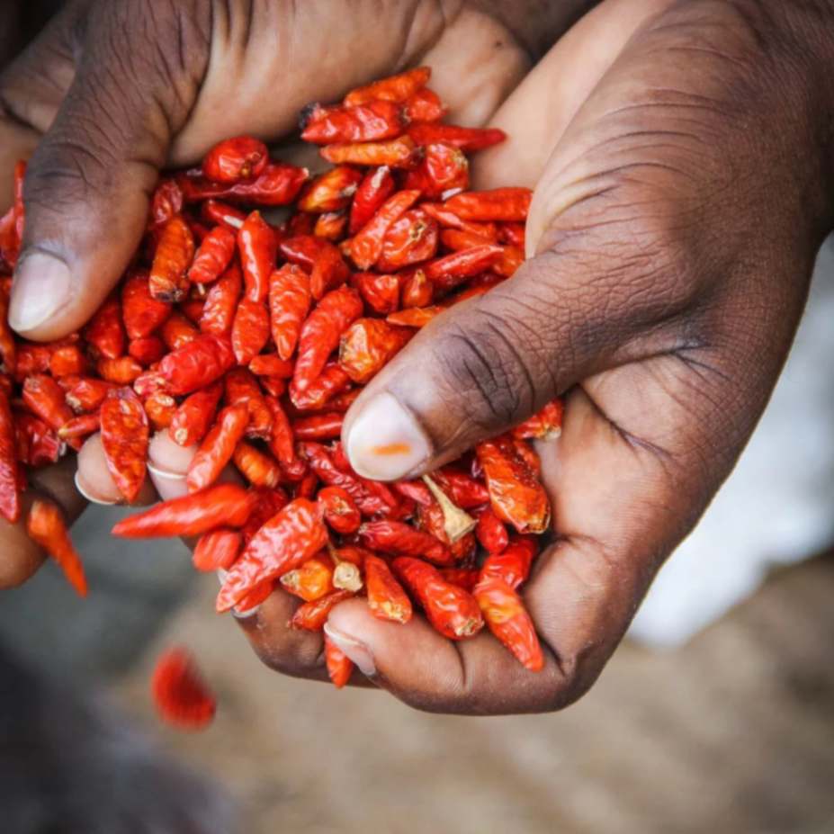 Piment - Lebensmittel - Montpellier