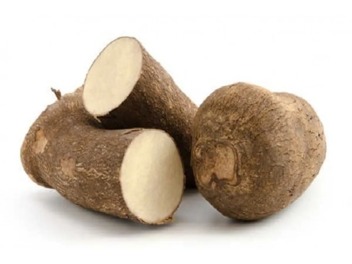 Igname - Tubercule Entier - Lebensmittel - Marseille