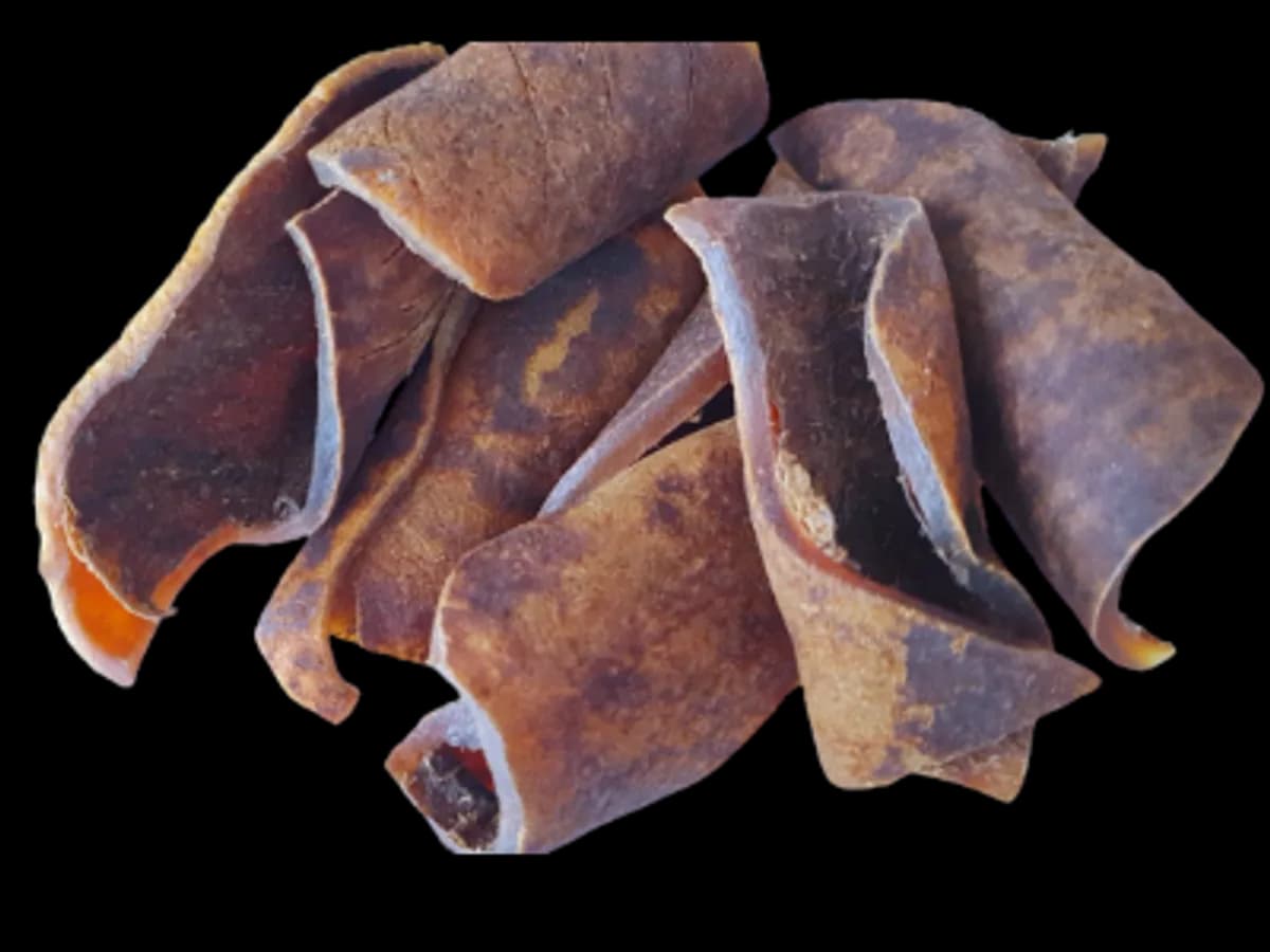 Peau de Bœuf Séchée (Kanda) - Food & Küche - Bologna