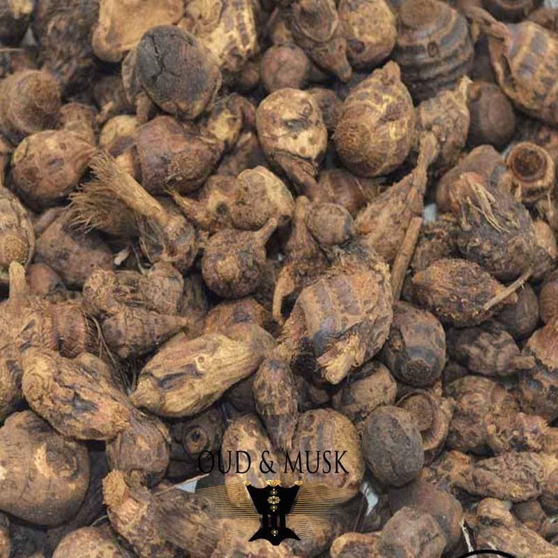 Encens Naturel Africain - Gesundheit & Wohlbefinden - Marseille