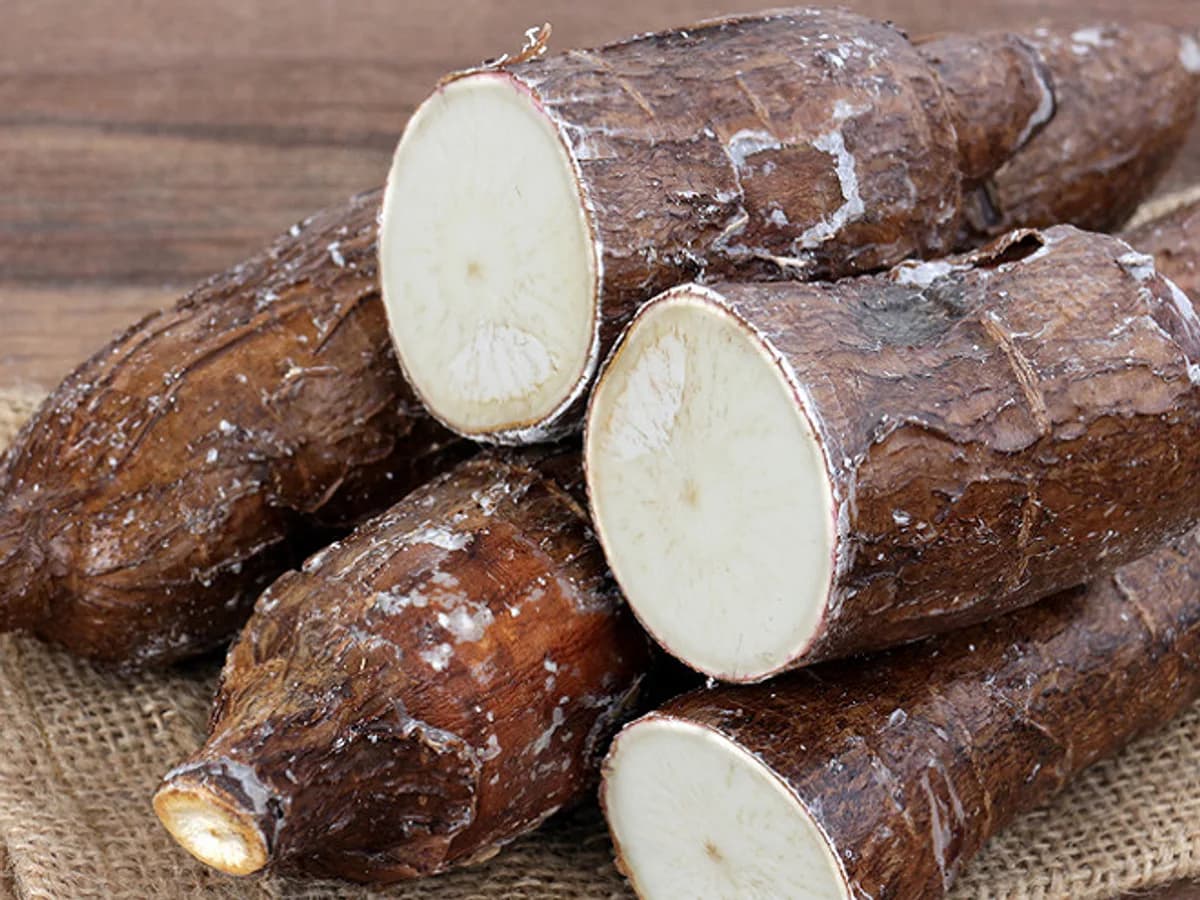Manioc Frais - Tubercules Entiers - Lebensmittel - Marseille